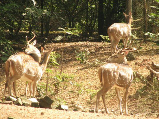 Ballavpur Wildlife Sanctuary